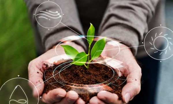 Reporte Huella de Carbono 2021